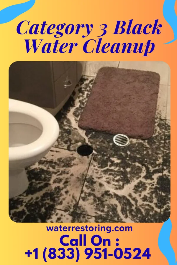 Category 3 Black Water Cleanup in Skyline, AL