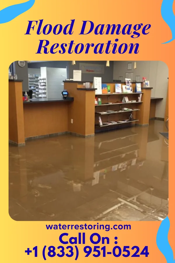 Flood Damage Restoration in Skyline, AL